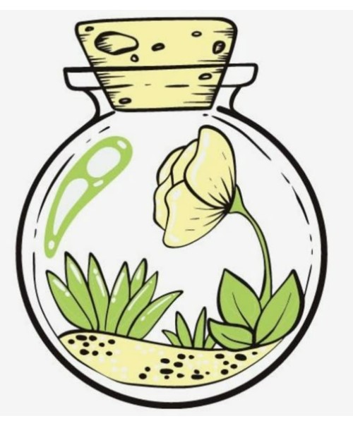 Ciencias Naturales y Sociales